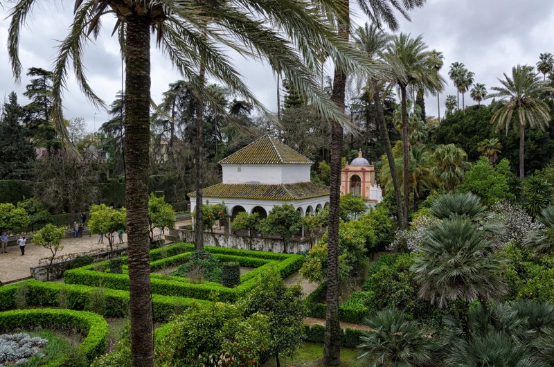 Realiza puenting por encima del río Agrio en Sevilla