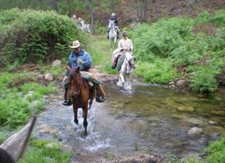 hotel Hotel Erts + Paseo A Caballo