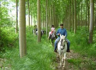 hotel Hotel Magic Andorra + Paseo A Caballo