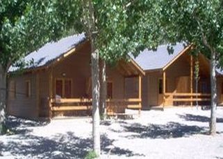 apartamentos Albergue Casa De Colonies Orri Del Pallars