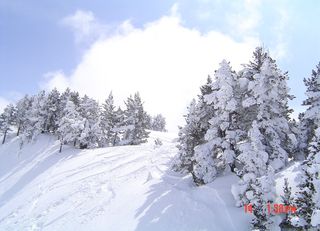 hotel Apartamentos Baqueira Flexiski