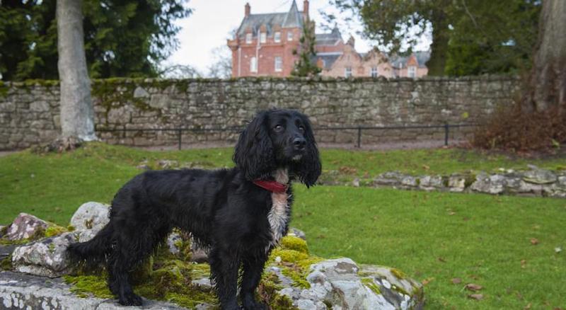 hotel Dryburgh Abbey Hotel