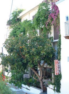 hotel Dioscouri