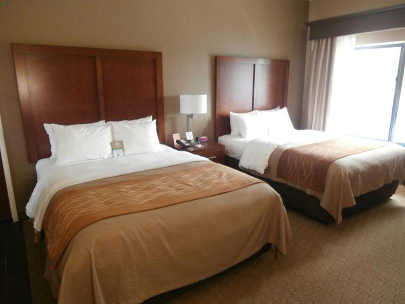 hotel Comfort Inn & Executive Suites