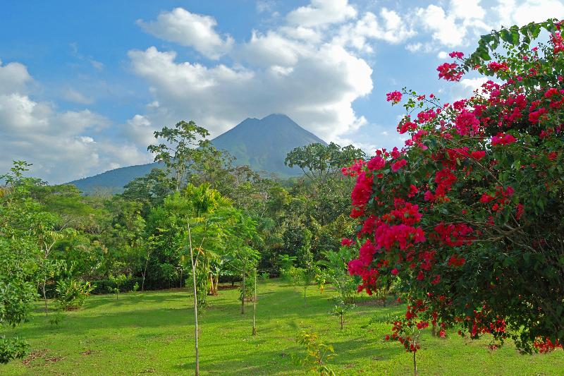 hotel Volcano Lodge & Springs