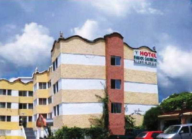 hotel Arbol Grande