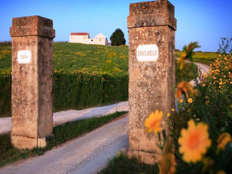 agroturismo Tenuta Stoccatello