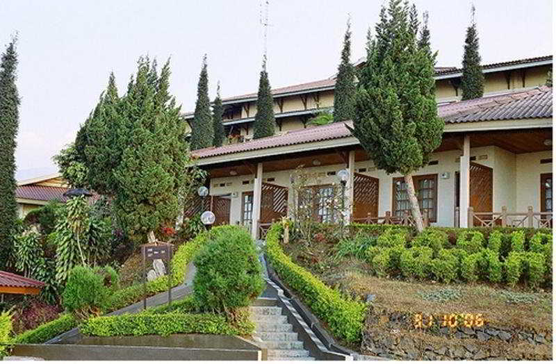 hotel Bromo Cottages