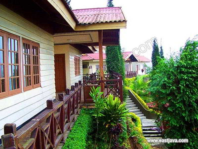 Fotos Hotel Bromo Cottages