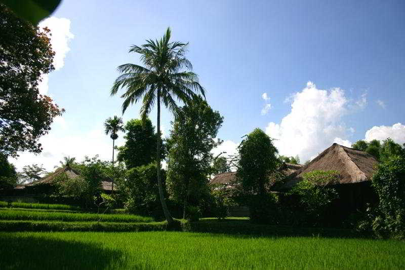 hotel Ananda Cottages