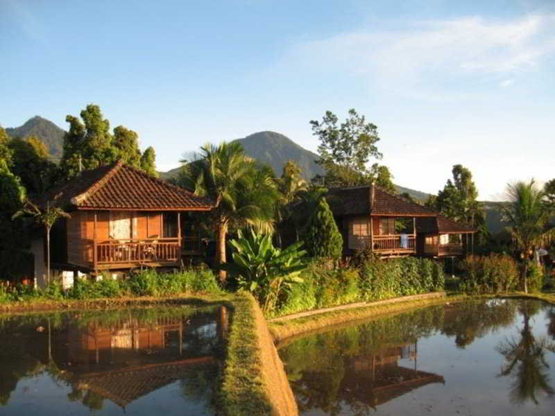 hotel Puri Lumbung