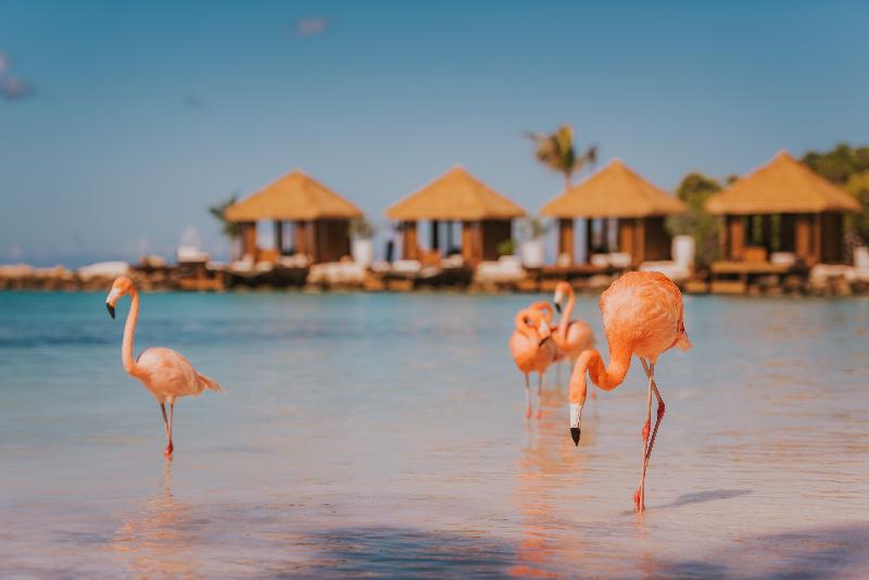 hotel Renaissance Aruba Beach Resort & Casino