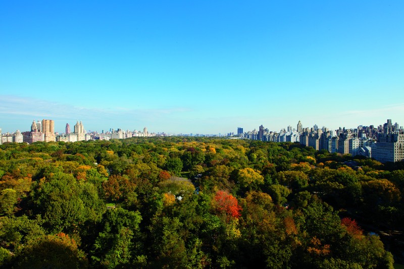 hotel The Ritz-carlton New York, Central Park