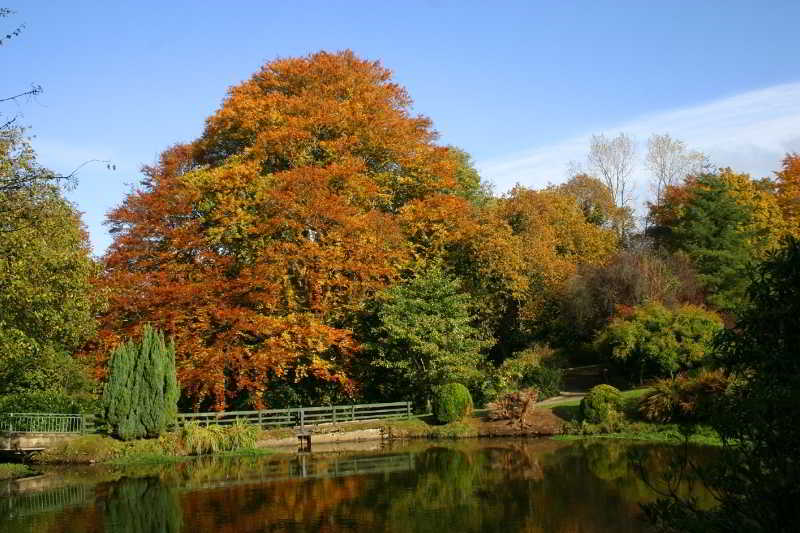 hotel Beech Hill Country House Hotel