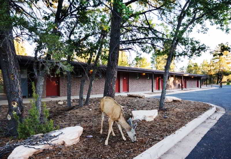 hotel Yavapai Lodge West