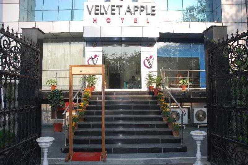 hotel Velvet Apple Hotels