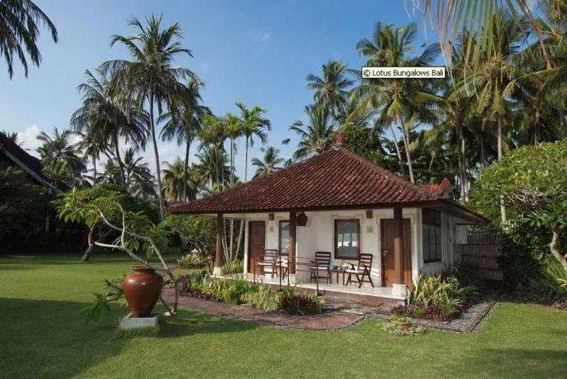 hotel Lotus Bungalow