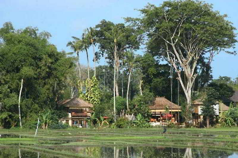 villa Tamu Seseh