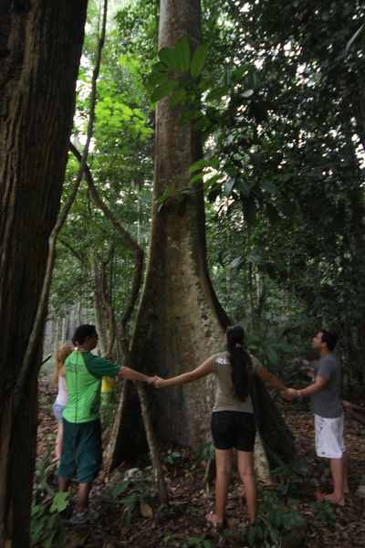 Fotos Hotel Amazonia Golf Resort