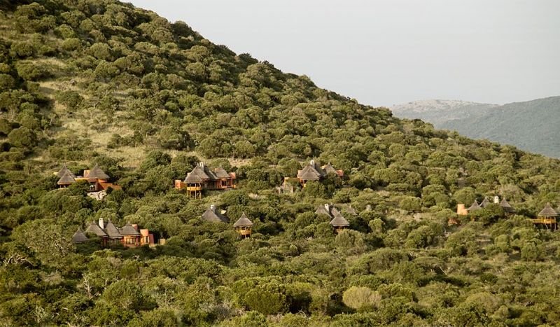 hotel Thanda Private Game Reserve