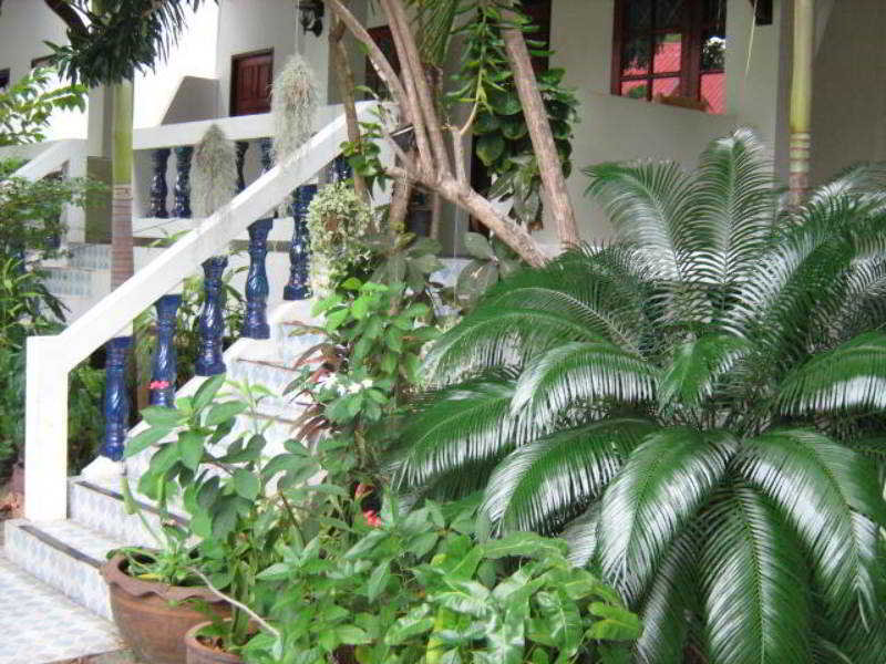 Fotos Hotel Lamoon Lamai Guesthouse