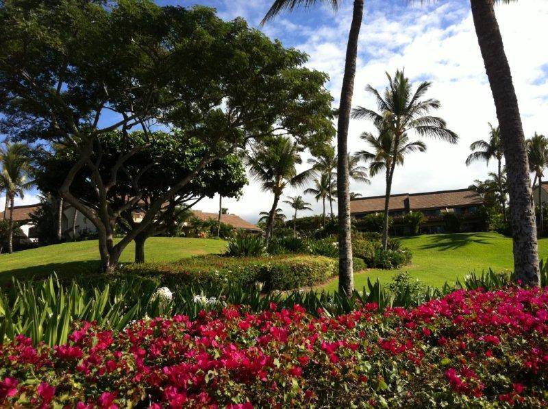 Fotos Hotel Maui Kamaole