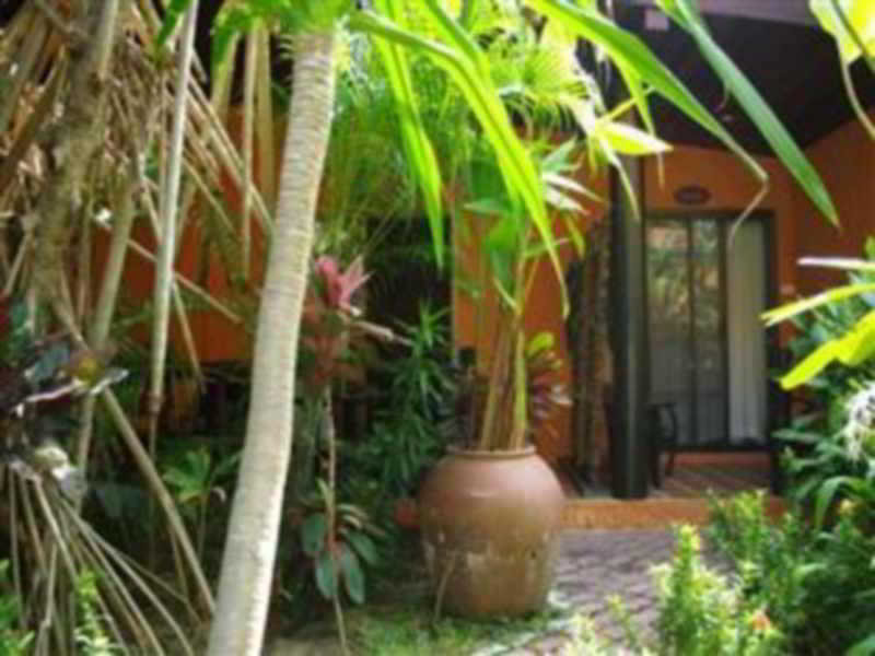 Fotos Hotel Eden Bungalows