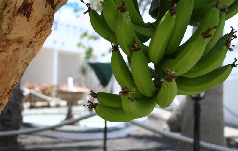 Fotos Hotel Lanzarote Vision