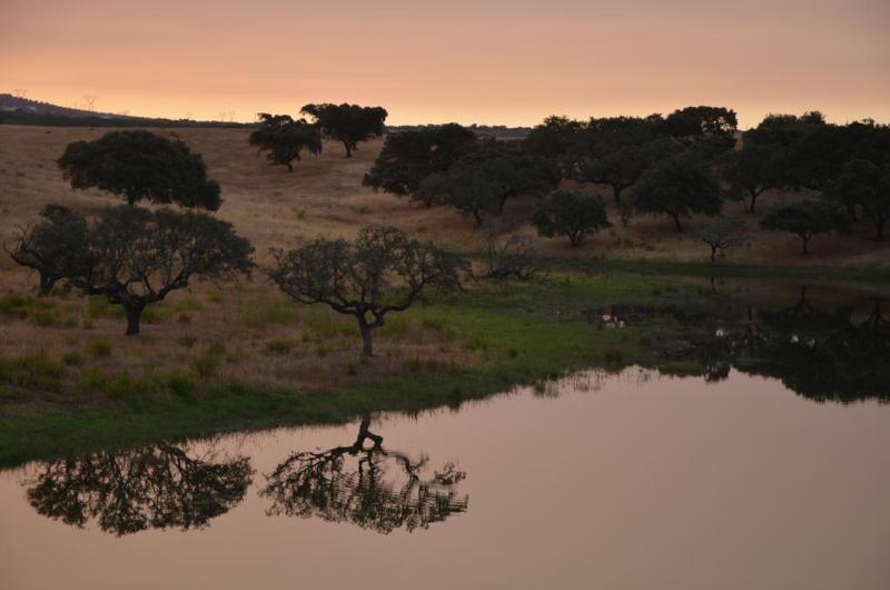 hotel rural Herdade Do Sobroso Country House