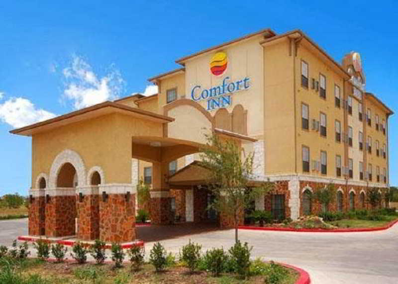 hotel Comfort Inn Near Seaworld