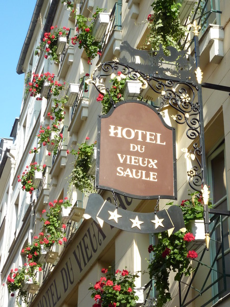 hotel Hotel Du Vieux Saule