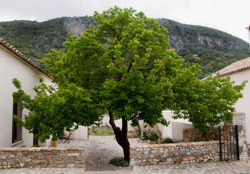 Fotos Hotel El Vihuelo Casa Rural