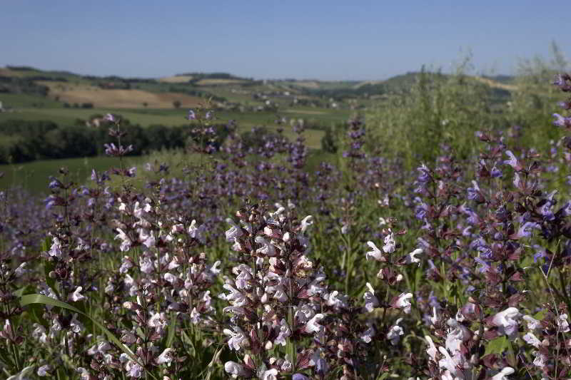 agroturismo Casale Roverella