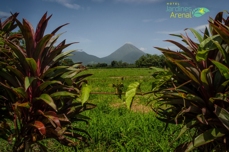 hostal Jardines Arenal