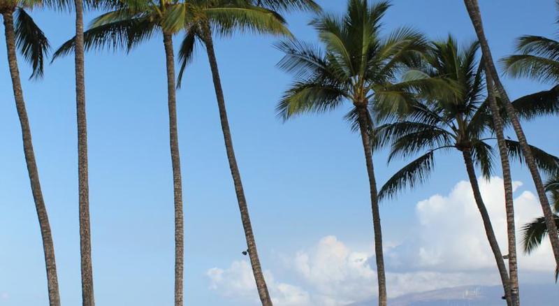 hotel Wailea Ekahi Village, A Destination Residence