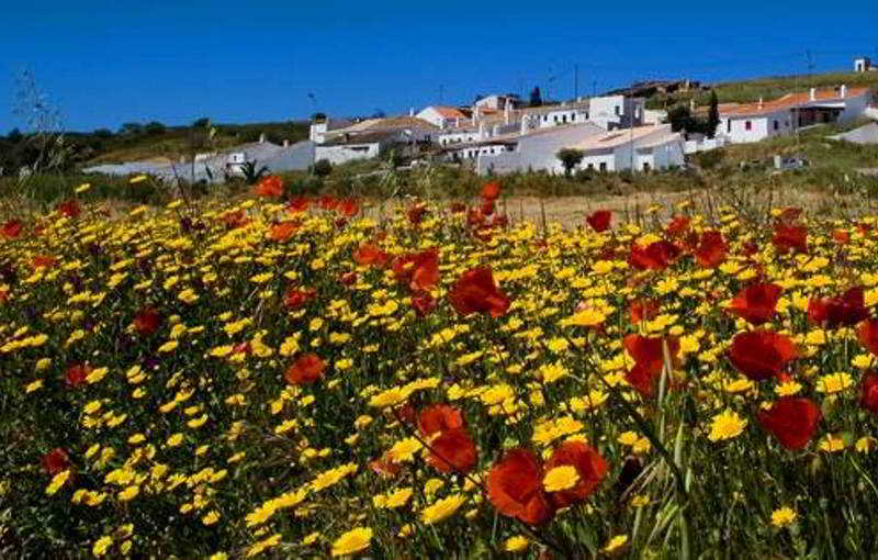 Fotos Agroturismo Casas De Pedralva