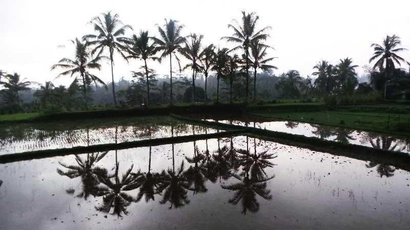 hotel Villa Kemuning