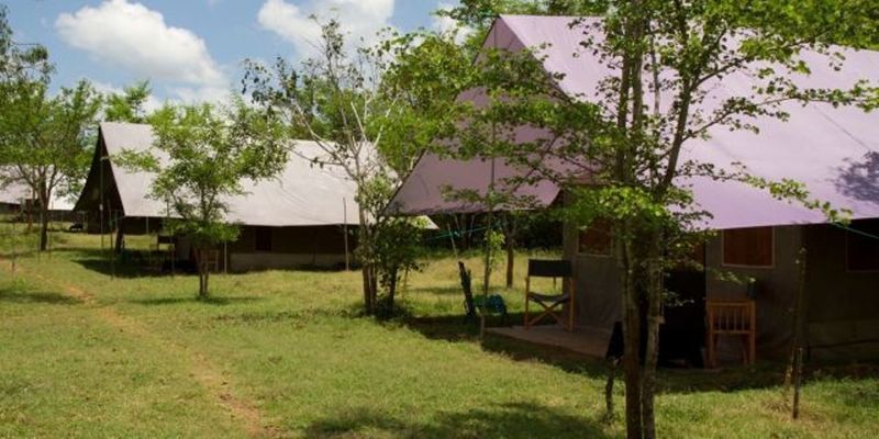 hotel Big Game Camp - Yala