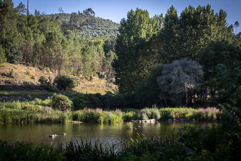 hotel rural Casas Do Patio, Lda. Country Houses & Nature