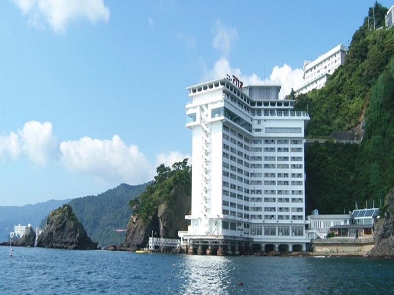 hotel Hotel New Akao