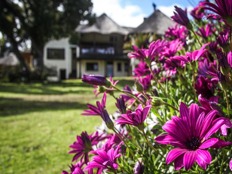 hotel Winelands Villa Guesthouse & Cottages