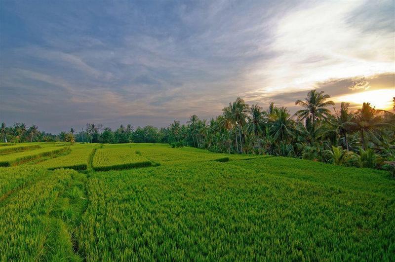 Fotos Hotel Pertiwi Bisma Ii