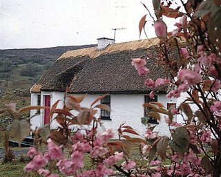 hotel Connemara Country Cottages