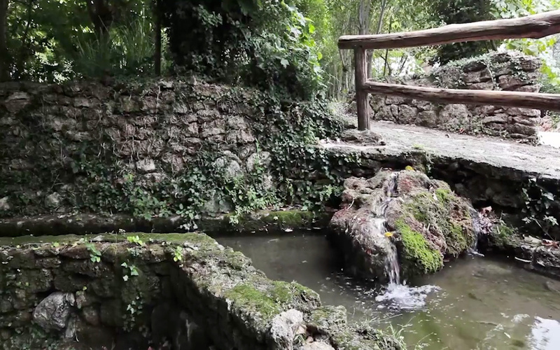 HOTEL RURAL LAS AGUAS DE ARBUNIEL Jaen Ciudad - Jaen