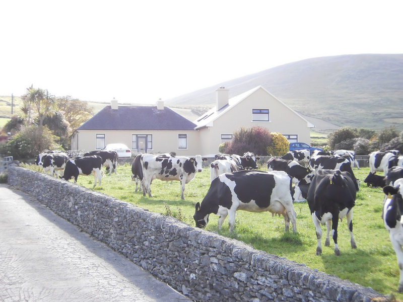 hotel Garvey's Farmhouse