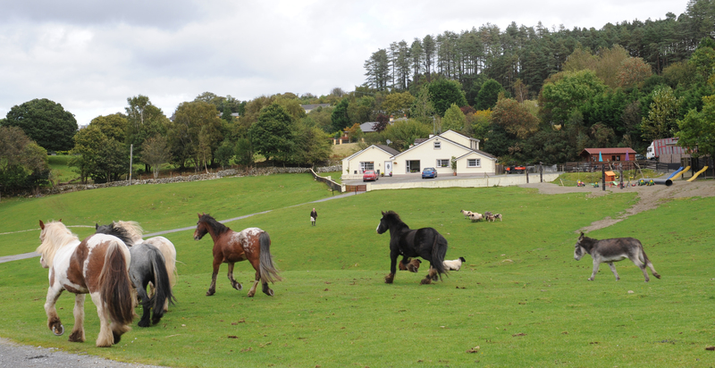 hotel Muckross Riding Stables