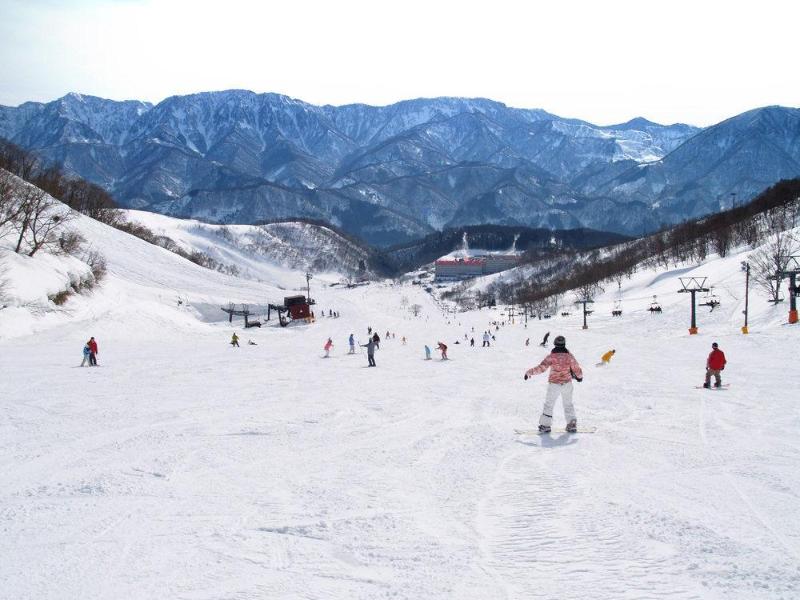 hotel Hotel Green Plaza Hakuba