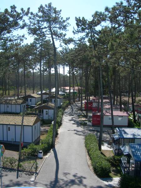 camping Orbitur Sao Pedro De Moel