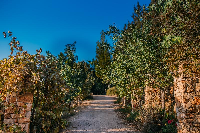 boutique Tur Sinai Organic Farm Resort