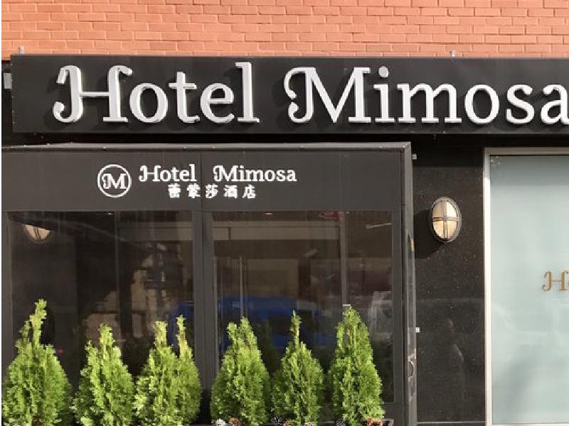 hotel Hotel Mimosa